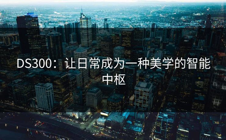 DS300：让日常成为一种美学的智能中枢